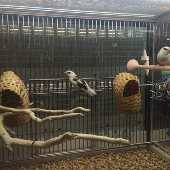 PetSmart - Pet Training Near Me - Eugene, Oregon