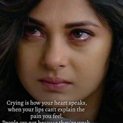 The Mustard Seed - Some tears find their way home for continued shelter and support.