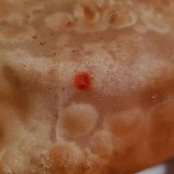 Empanada