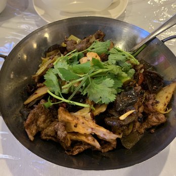 CY Chinese Restaurant - 141. Beef Special Dried Pot in Red Oil Chili Sauce - Szechuan Near Me - North Miami Beach, Florida CY Chinese Restaurant - 141. Beef Special Dried Pot in Red Oil Chili Sauce - Szechuan Near Me - North Miami Beach, Florida