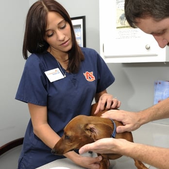 1. Companion Animal Care