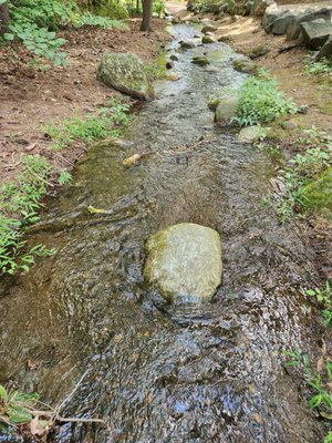 Stanley Park by null