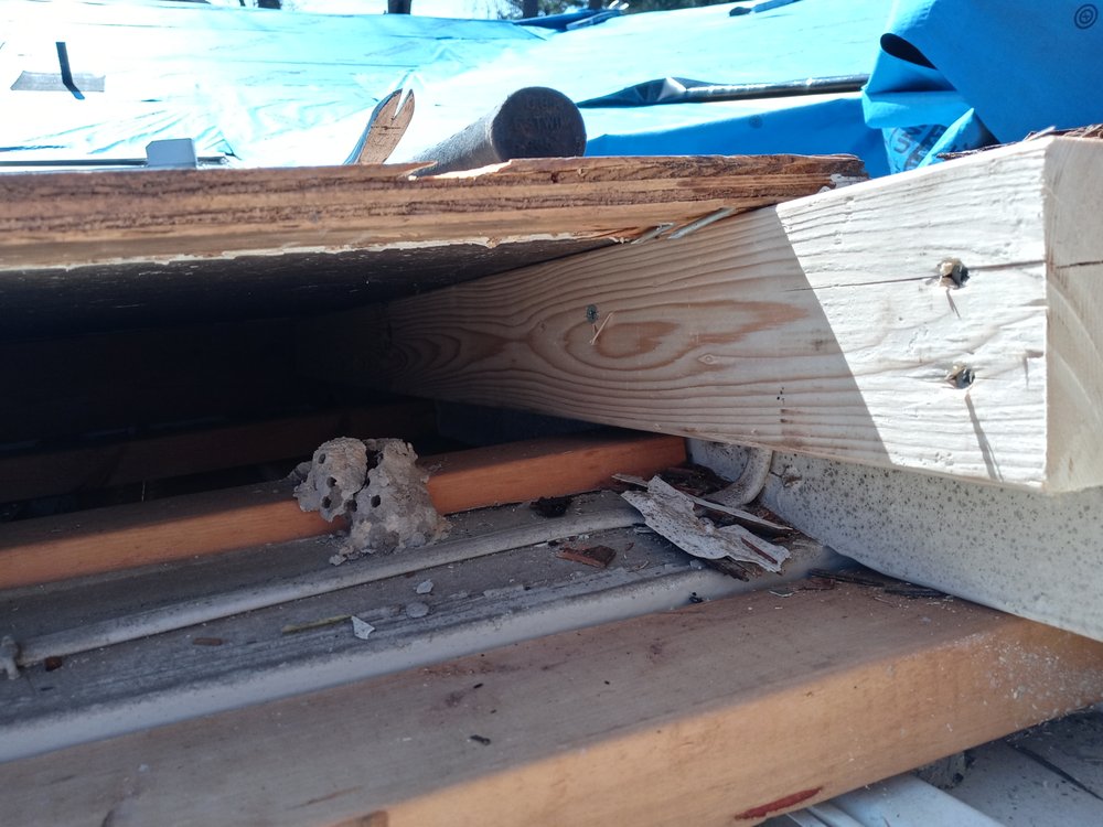 Slide of Carolina Custom Roofing & Maintenance