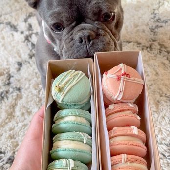 Amelia & Rose - Pistachio and strawberry cheesecake macaroons - Custom Cakes Near Me - Orange, New Jersey