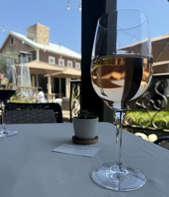 Ponte Winery by null
