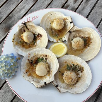 Colletta - Scallops - Italian Near Me - Cary, North Carolina Colletta - Scallops - Italian Near Me - Cary, North Carolina