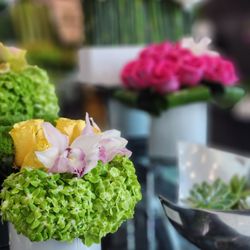 Amazing Flowers
