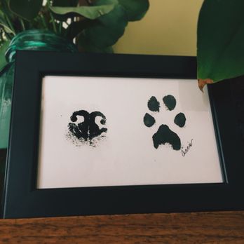 Peaceful Pets Aquamation - Pet Cremation Services Near Me - Northridge, California Peaceful Pets Aquamation - Pet Cremation Services Near Me - Northridge, California
