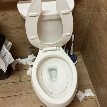 Bahama Buck's - San Antonio, NW Loop 410 - a toilet in a public restroom - Juice Bars & Smoothies Near Me - San Antonio, Texas Bahama Buck's - San Antonio, NW Loop 410 - a toilet in a public restroom - Juice Bars & Smoothies Near Me - San Antonio, Texas