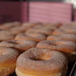 Donut Time - Raise Sugar donut
