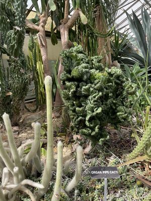 Rockefeller Park & Greenhouse by null