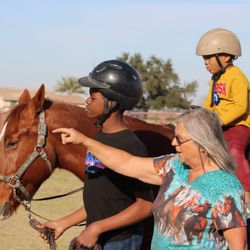 Party Ponies Yuma