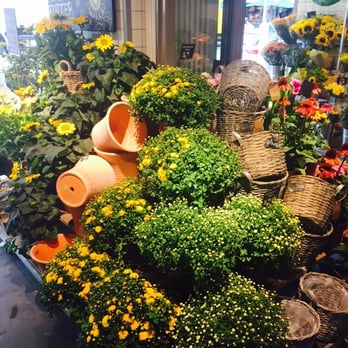 Blume 2000 - Florists Near Me - Frankfurt, HE