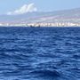Photo of Five Star Boat