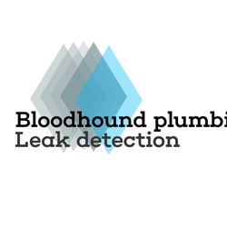 Bloodhound Plumbing Leak Detection
