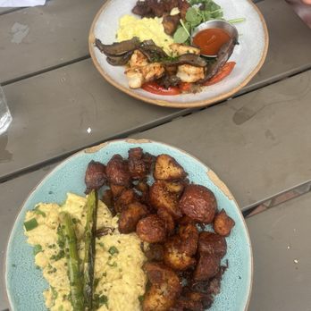 Bearcat CBD - Crab Scramble & Gulf Shrimp Bowl - Coffee & Tea Near Me - New Orleans, Louisiana Bearcat CBD - Crab Scramble & Gulf Shrimp Bowl - Coffee & Tea Near Me - New Orleans, Louisiana