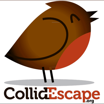Collidescape.org - CollidEscape prevents bird collisions with glass - guaranteed! - Glass & Mirrors Near Me Collidescape.org - CollidEscape prevents bird collisions with glass - guaranteed! - Glass & Mirrors Near Me