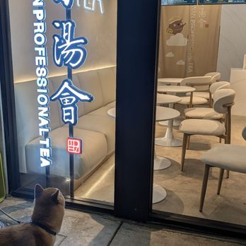 TP Tea - Bubble Tea Near Me - Irvine, California TP Tea - Bubble Tea Near Me - Irvine, California