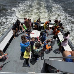 The Fun Boats Dolphin Cruises