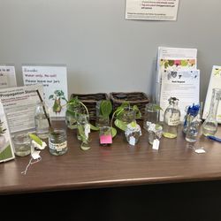 Mount Laurel Library - Propagation Station - cool!