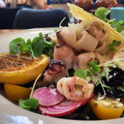 the dining & co - Squid Salad was a winner with me.