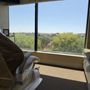 Shane R Panter, DDS - Palisades Dental
