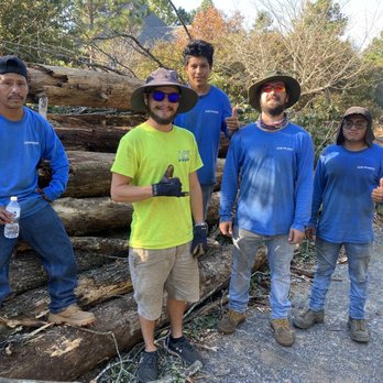 Ace Tree Service - Tree Services Near Me - Birmingham, Alabama Ace Tree Service - Tree Services Near Me - Birmingham, Alabama
