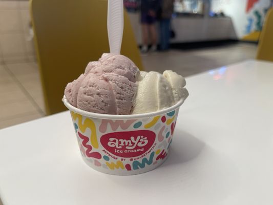 Amy's Ice Creams by null