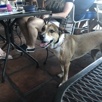 Diego Pops - Dog friendly patio - Cocktail Bars Near Me - Scottsdale, Arizona Diego Pops - Dog friendly patio - Cocktail Bars Near Me - Scottsdale, Arizona
