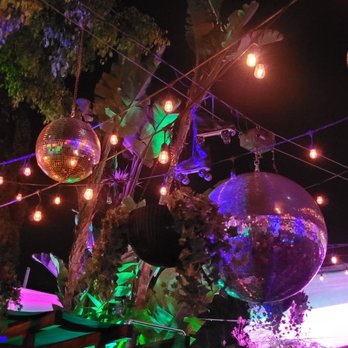 EOS Lounge - disco lights and disco balls hanging from a tree - Lounges Near Me - Santa Barbara, California