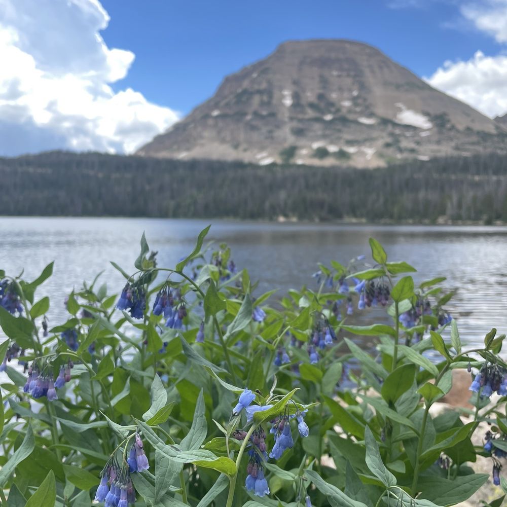 Mirror Lake Scenic Byway - Mirror Lake- Utah - Hiking Near Me - Kamas, Utah Mirror Lake Scenic Byway - Mirror Lake- Utah - Hiking Near Me - Kamas, Utah