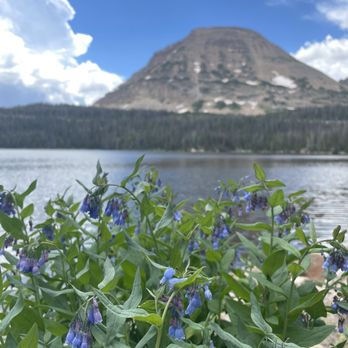 Mirror Lake Scenic Byway - Mirror Lake- Utah - Hiking Near Me - Kamas, Utah