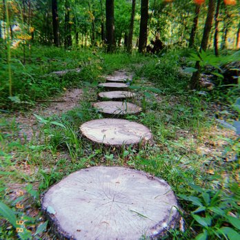 Zonolite Park - Trail - Hiking Near Me - Atlanta, Georgia