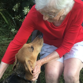 diane's discount pet supplies