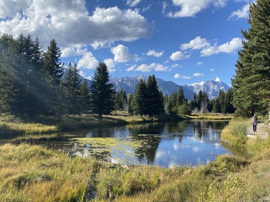 Schwabacher Landing by null