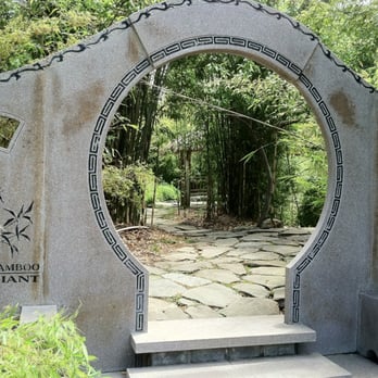 Bamboo Giant Nursery and Gardens - A portal to another world... - Nurseries & Gardening Near Me - Aptos, California Bamboo Giant Nursery and Gardens - A portal to another world... - Nurseries & Gardening Near Me - Aptos, California