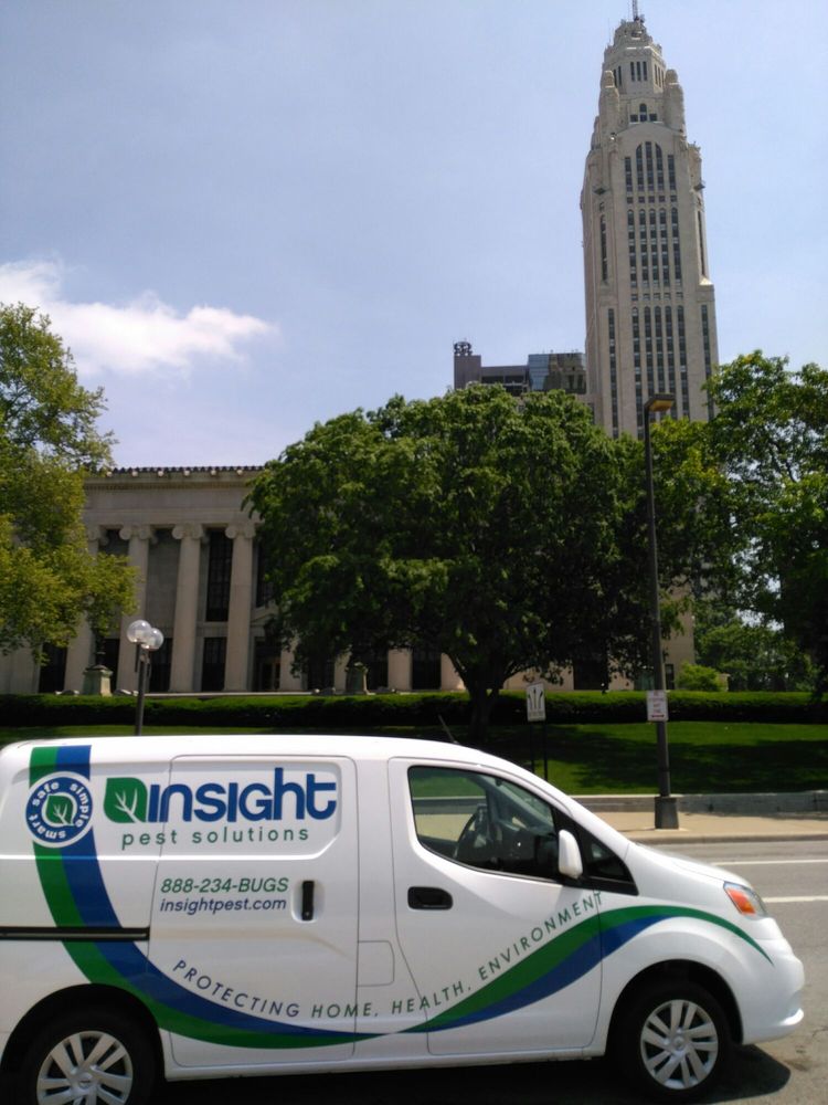 INSIGHT PEST SOLUTIONS Updated September 2024 190 Reviews 7099