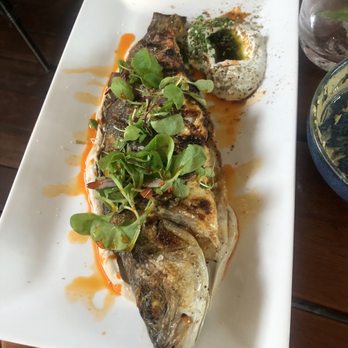Gypsy Kitchen DC - Bronzino - Tapas/Small Plates Near Me - Washington, DC, District of Columbia