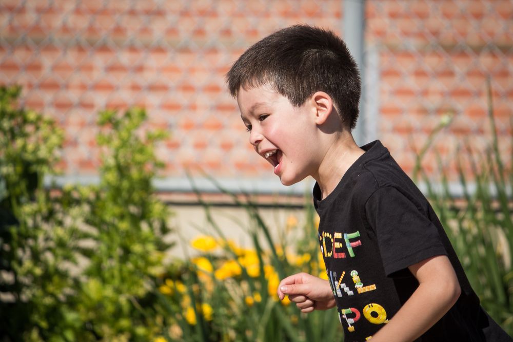 Les Petits Francophones - childcare center in Oakland, CA