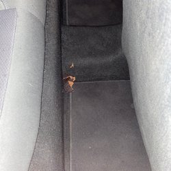Hertz Rent A Car