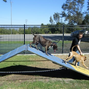Carlson Dog Park - down the ramp - Dog Parks Near Me - Riverside, California
