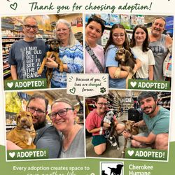 Cherokee Humane Society