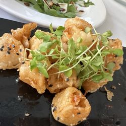 Dune 18 - Fried calamari