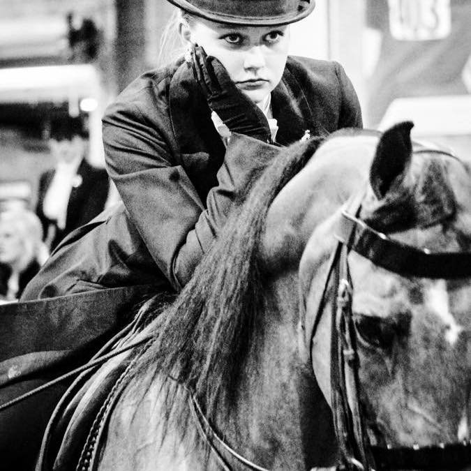 Firefly Equestrian Center - equestrian in Bluffdale, UT