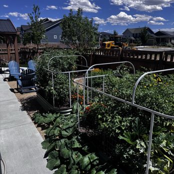 Dream Landscape Services - Raised garden beds. - Landscape Architects or Designers Near Me Dream Landscape Services - Raised garden beds. - Landscape Architects or Designers Near Me
