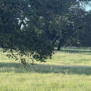 Balcones District Park - Parks Near Me - Austin, Texas Balcones District Park - Parks Near Me - Austin, Texas