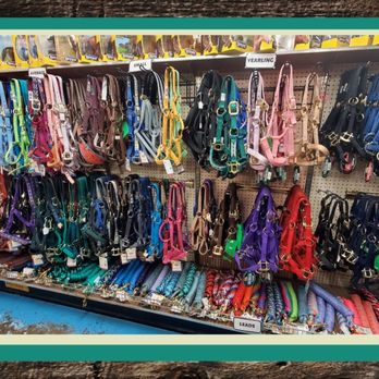 K & S Saddlery - We offer a variety of Halters & Leads form Mini to Draft! - Horse Equipment Shops Near Me - Spanaway, Washington K & S Saddlery - We offer a variety of Halters & Leads form Mini to Draft! - Horse Equipment Shops Near Me - Spanaway, Washington