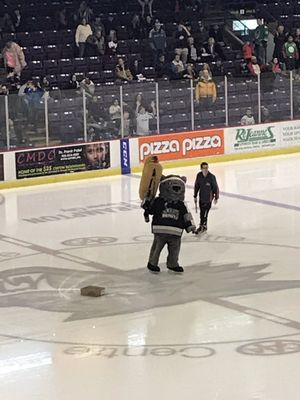 CAA Centre - Sports and Entertainment Complex by null