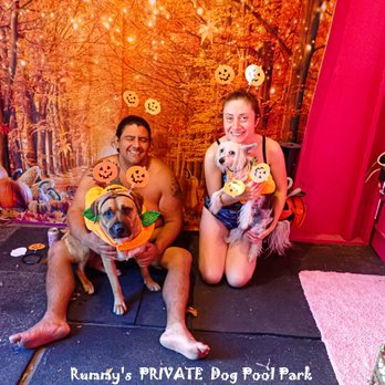 Rummy's Beach Club - Louie is not feeling this Halloween costume but that's ok because Wumming is cute enough for both of them. - Dog Parks Near Me - Spring, Texas Rummy's Beach Club - Louie is not feeling this Halloween costume but that's ok because Wumming is cute enough for both of them. - Dog Parks Near Me - Spring, Texas