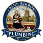 Blue Ribbon Plumbing